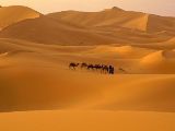 Sahara marocain...