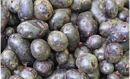 Les pommes de terre violettes peuvent aider à lutter contre l'hypertension