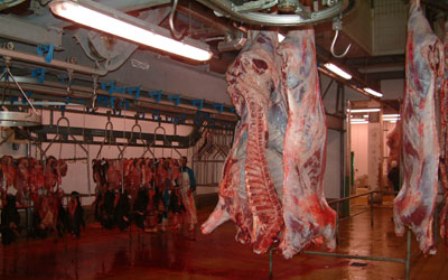 Casablanca: plus de 30 tonnes de viandes rouges seront incinérées