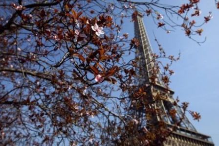 Un homme escalade la Tour Eiffel et se tue