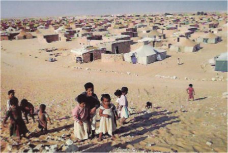 Des ONGs dénoncent le déni des droits humains à Tindouf