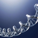 La molécule d'ADN va-t-elle remplacer les disques durs?