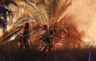 Province de Tata: Un incendie ravage près de 1.200 palmiers