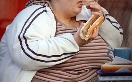 L'obésité chez les adultes: 17