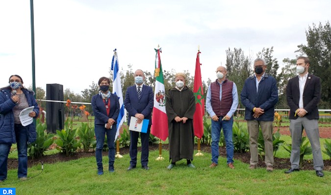 Mexique : les ambassadeurs du Maroc et d'Israël relèvent le "défi vert" et plantent 66 arbres à Mexico