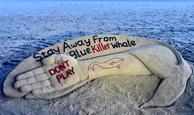 Tanger: la DGSN dément le suicide d'un enfant à cause du jeu de la "Baleine bleue"