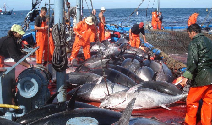 Maroc-UE: le Conseil de l'Europe donne son aval pour négocier un nouvel accord de pêche