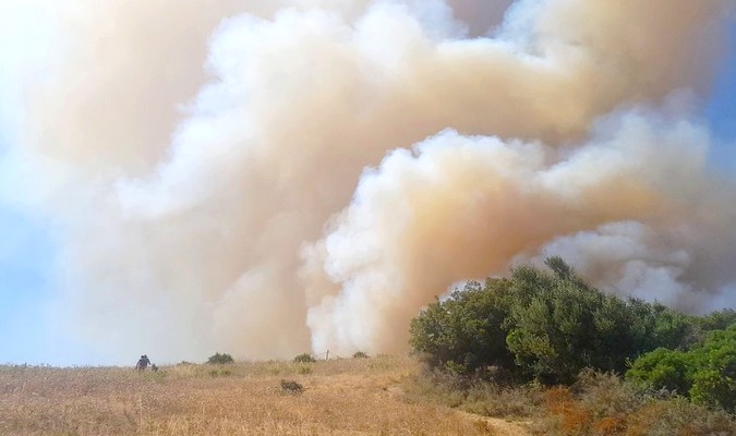 Tanger : Des incendies criminels ravagent 42 hectares de forêts