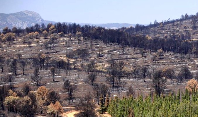 Espagne: l'incendie de Valence stabilisé