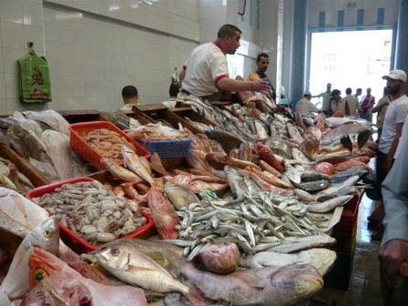 Présence de mercure dans les produits de la pêche: les précisions de l'ONSSA