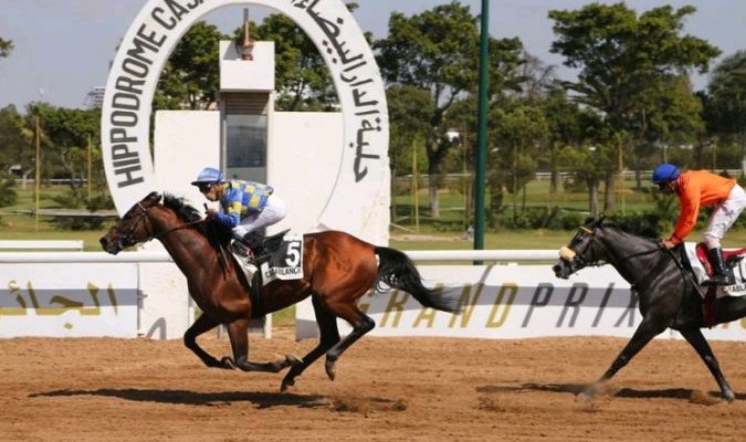 Le cheval Can vocifer remporte le GP de SM le Roi Mohammed VI du pur-sang anglais