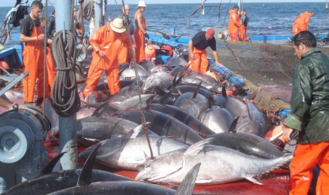 Le Maroc et l’UE s’entendent sur le contenu du futur accord de pêche